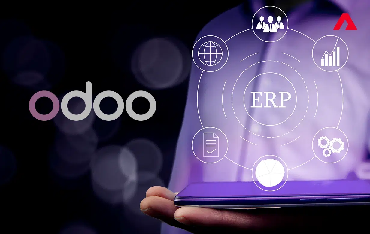 Secure Your ERP Investment with the Odoo Success Pack